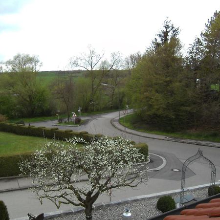 Apartment Guenzblick Ellzee Exterior foto